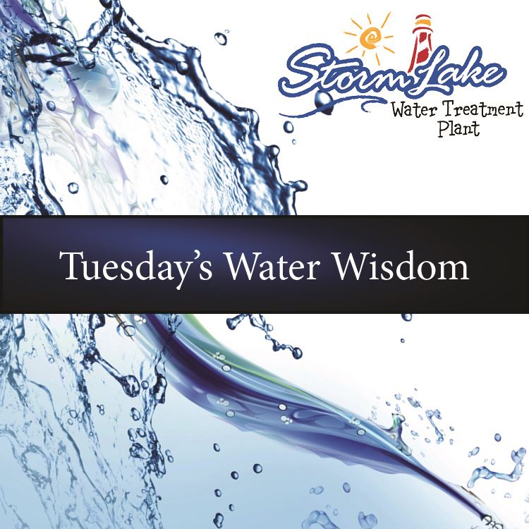 Tuesday's Water Wisdom