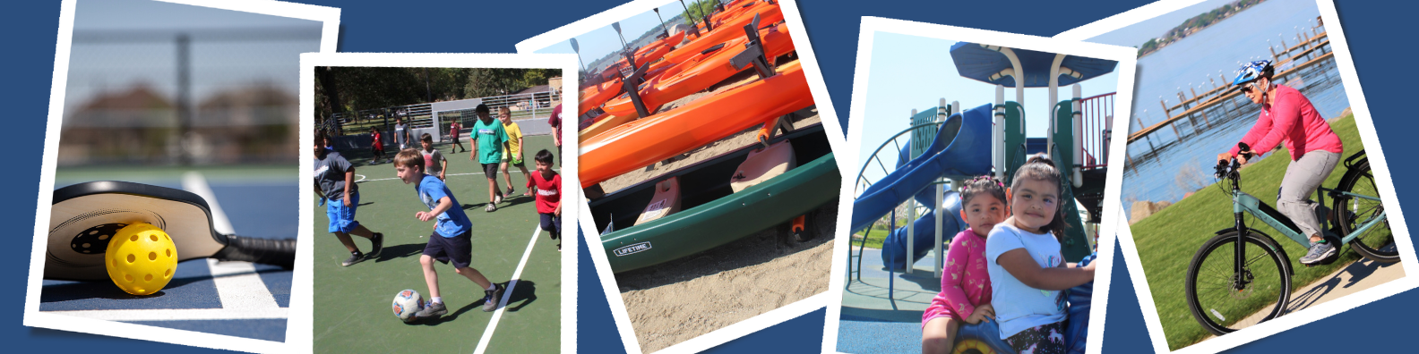 Neutral Autumn Collage LinkedIn Banner (2)